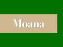 MOANA｜有限会社モアナ　それぞれが輝ける場所へ